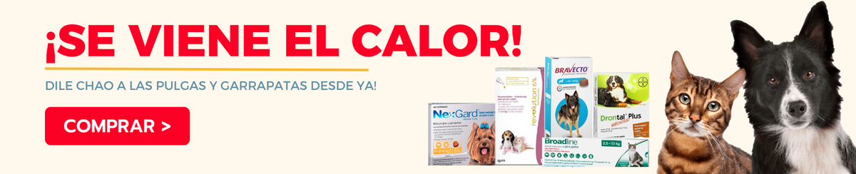 Alimentos Premium Para Mascotas Accesorios Para Mascotas Y Mas