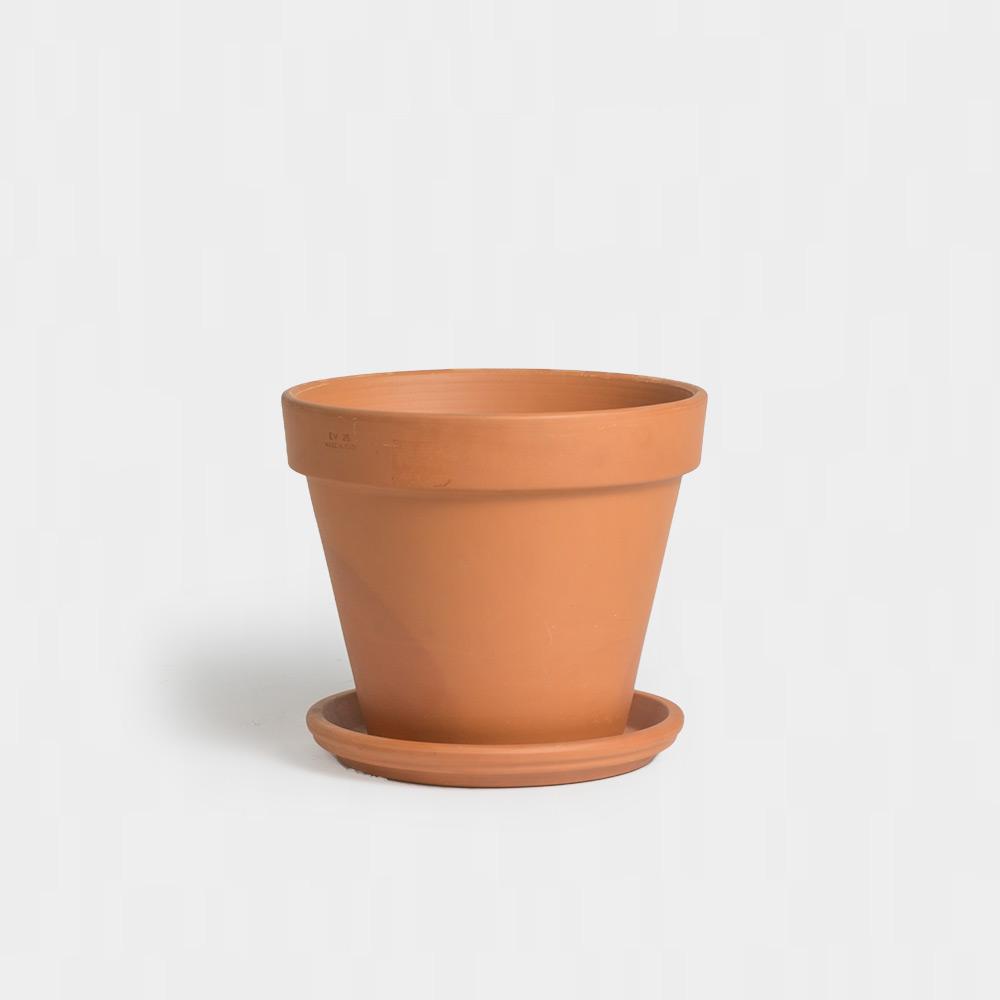 Greenery Unlimited 12 Terracotta Pot Saucer Planters Plant Pots