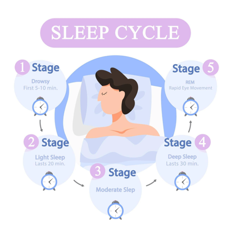 Stages Of Sleep A Good Night Sleep With Memory Foam Myessentia Ca Essentia Organic Mattress Canada