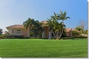 Argentine Bahia Lawn Grass Seed 5 Lbs Seed Barn