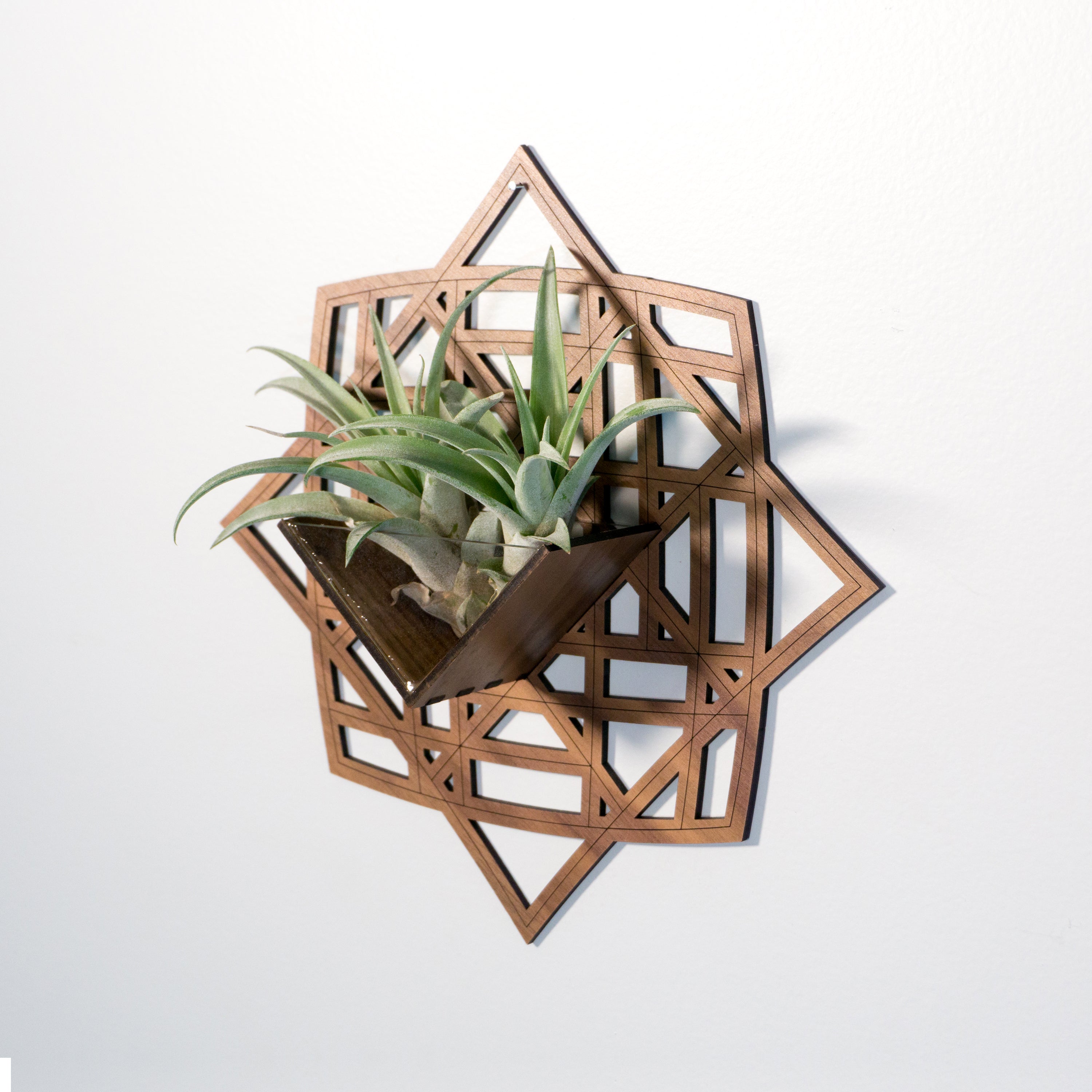 Wall Hanging Planter 3 Unique Handmade Air Plant Holder Home Decor Light Razor Design Studio