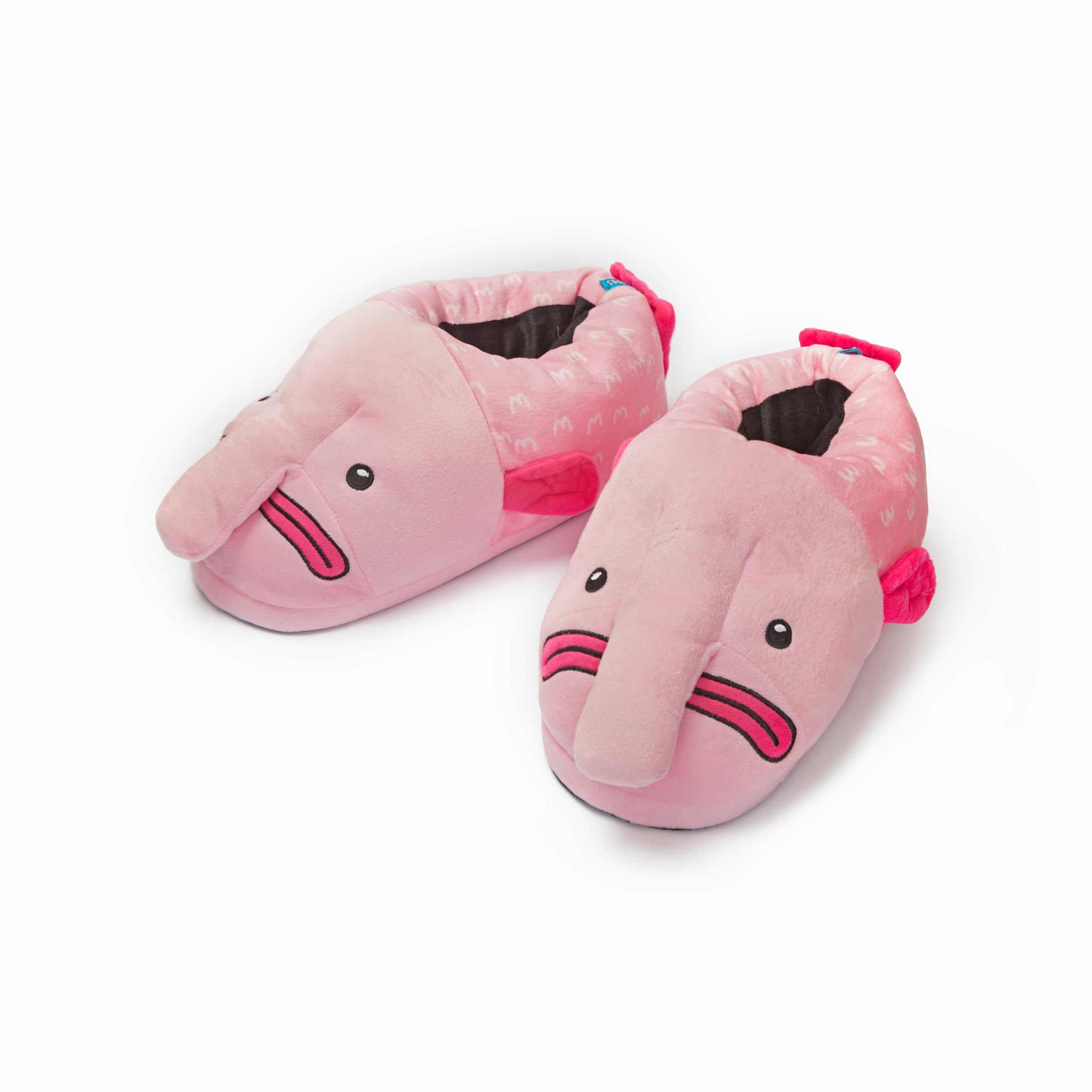 Coddies Is The Place To Go For All Your Unusual Footwear Needs The