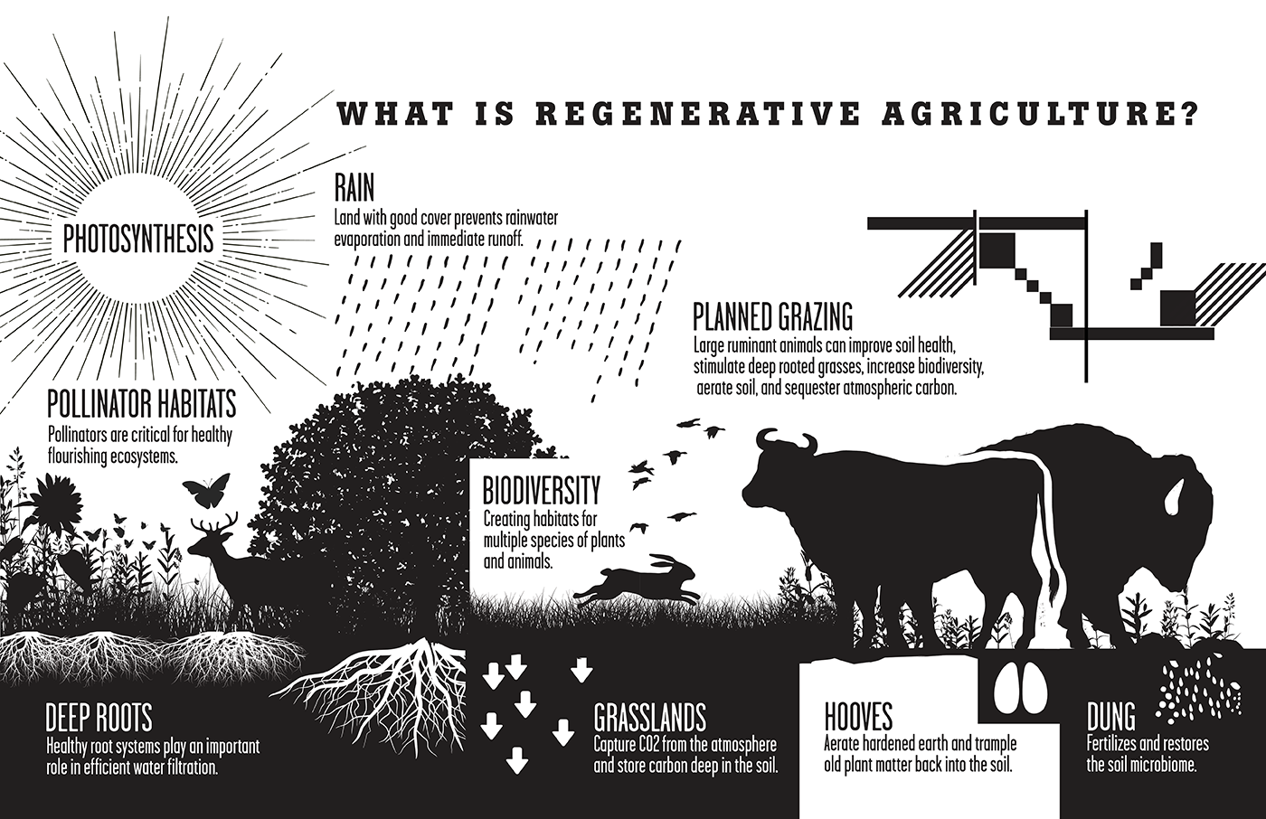 Regenerative Agriculture Rep Provisions The Savory Institute