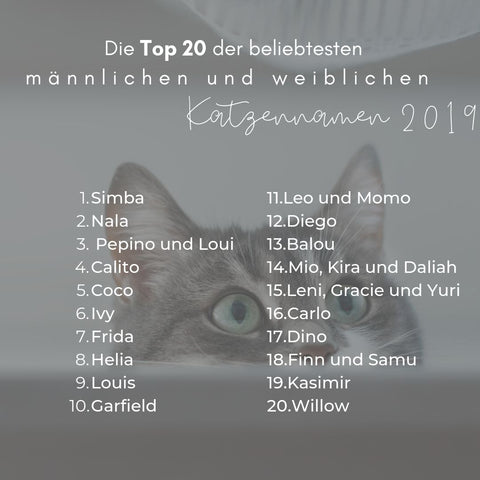Top 10 Beliebtester Namen Fur Kater Katzen In 2019 In Deutschland Piupet