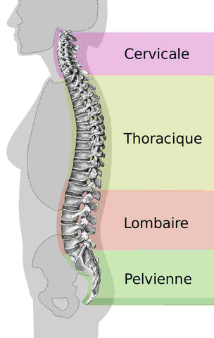 Douleurs Cervicales Ou Cervicalgies Comprendre Et Soulager