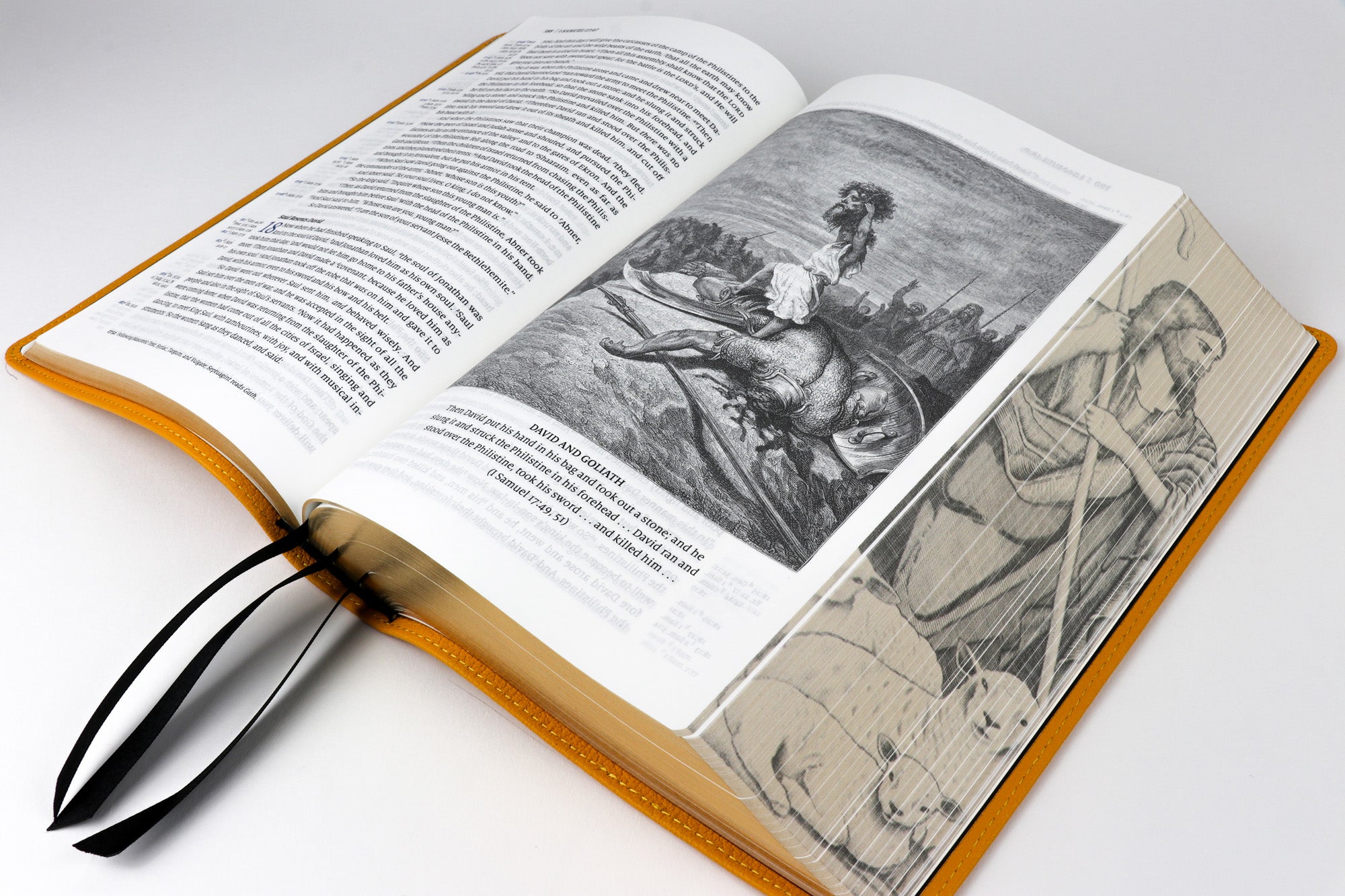 Nkjv Shepherd Yellow