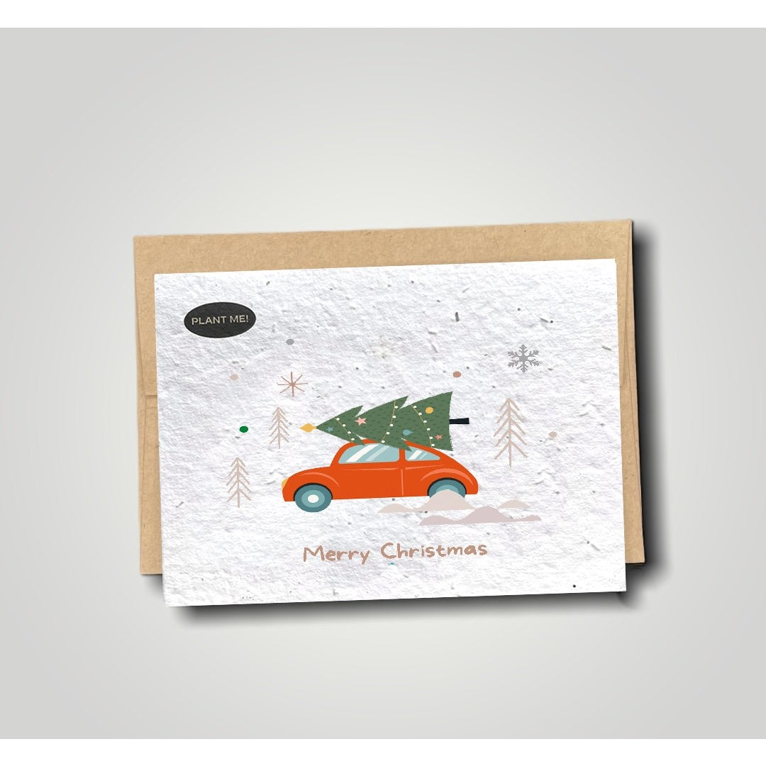 Plantable Christmas Cards Plantable Greetings Zerocery