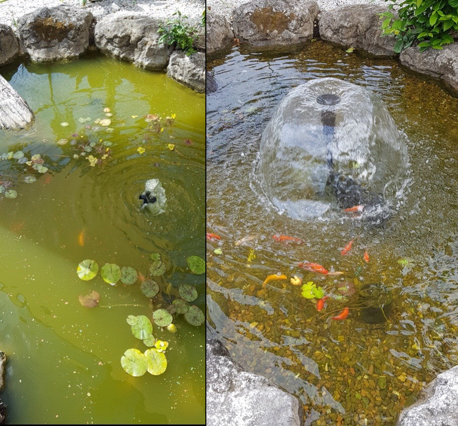 Large Fishpond Water Feature Pack Splosht