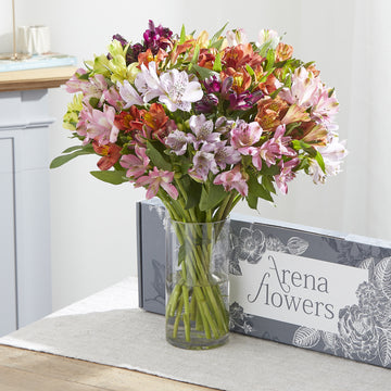 Letterbox British Mixed Alstroemeria Arena Flowers