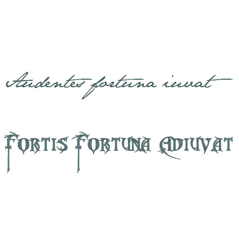 Fortune Favors The Bold Latin Artwear Tattoo