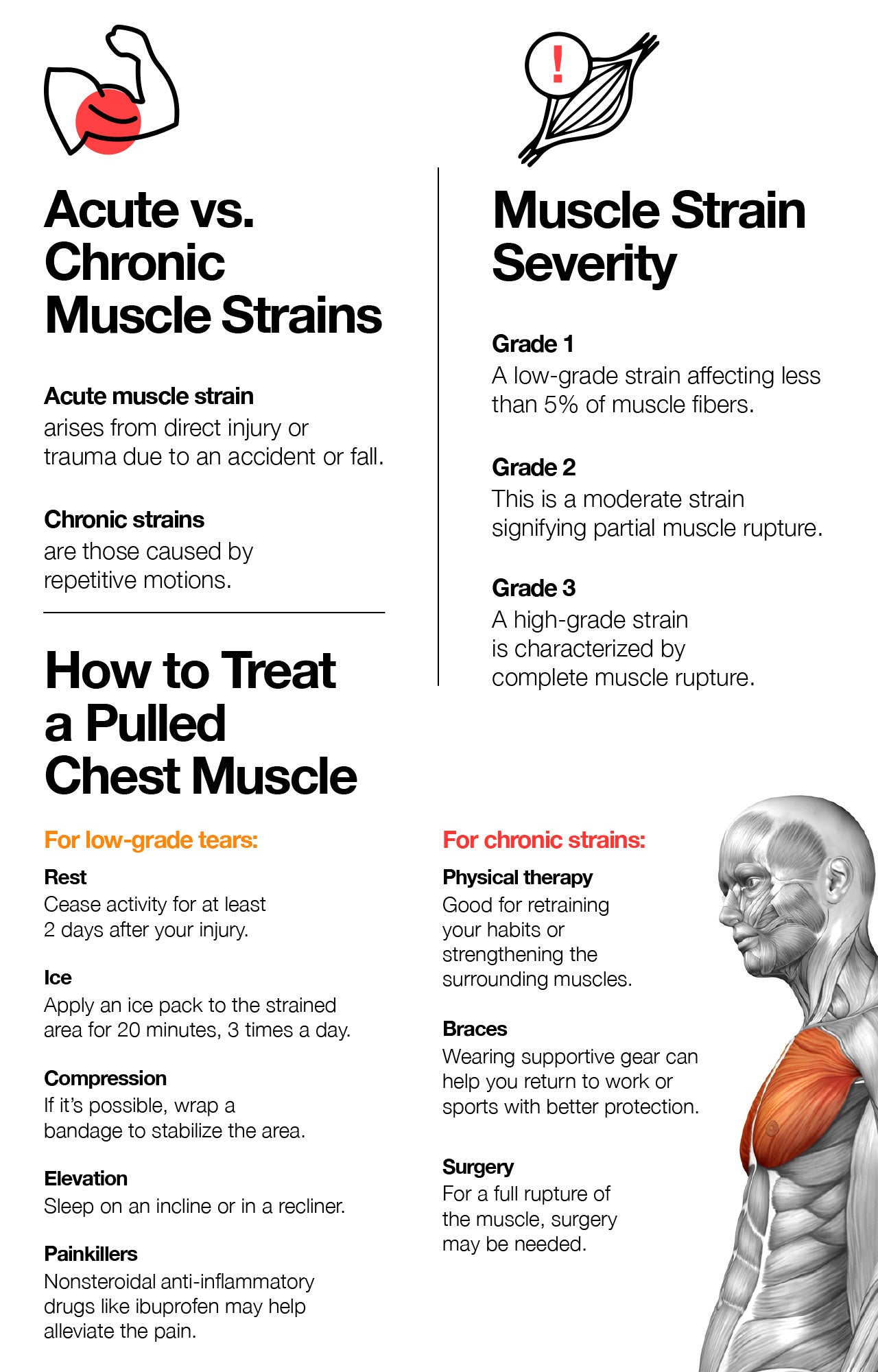 Pulled Chest Muscle Symptoms Causes And Treatment The Amino Company