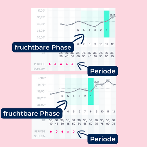 Schwanger Wahrend Der Periode So Kann Es Passieren Ovy
