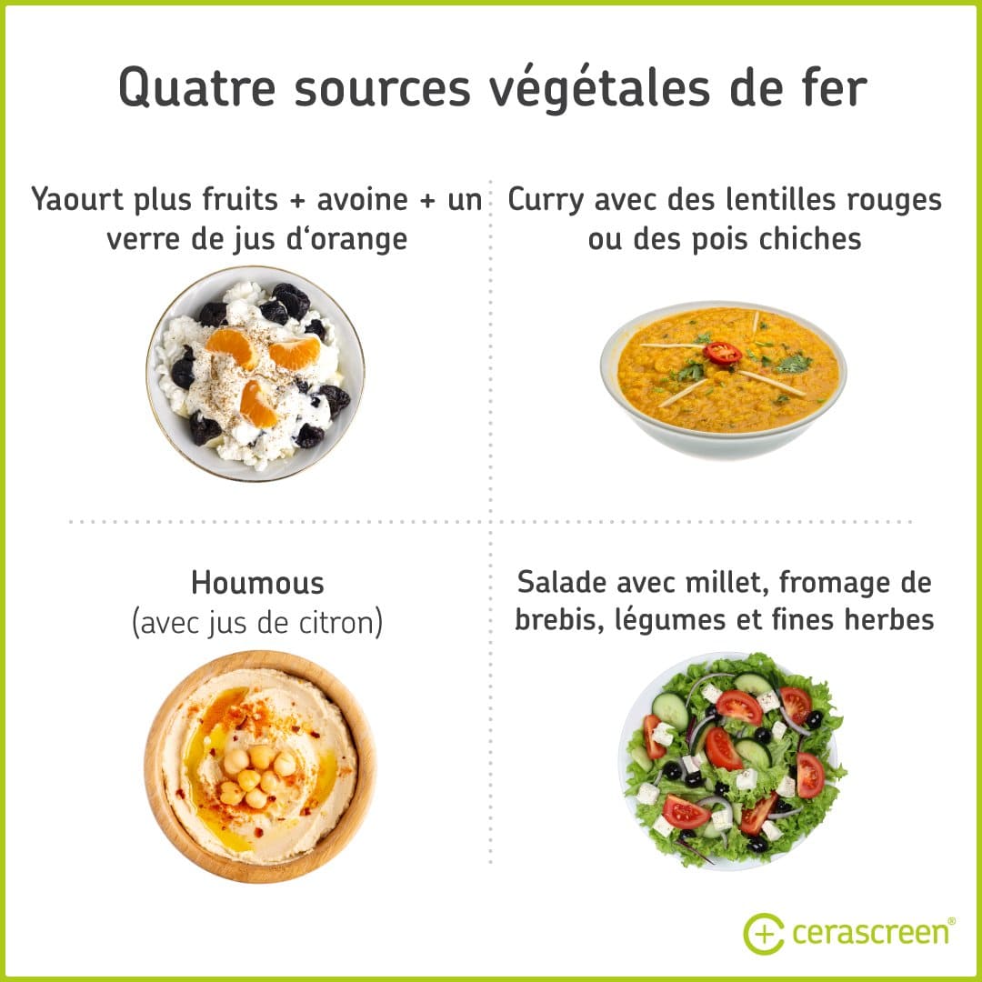 Carence En Fer Causes Symptomes Traitement Cerascreen