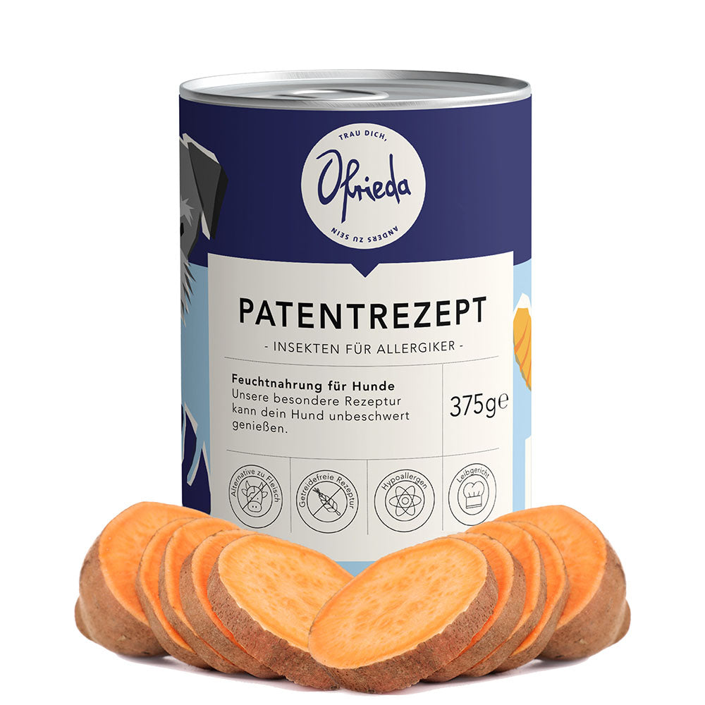Hypoallergenes Hundefutter Hilfe Bei Juckreiz Allergien