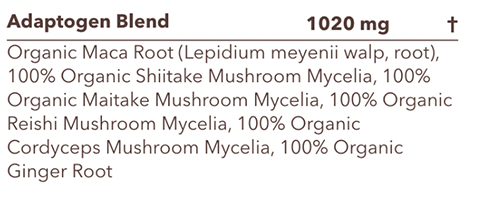 Ka Chava Review Superfood That S Anything But Super Illuminate Labs