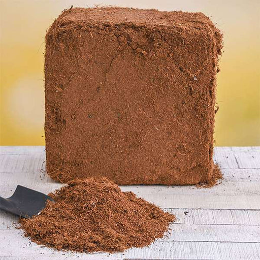 Buy Coco Peat Block 4 Kg Expands Up To 60 70 L Online From Nurserylive At Lowest Price