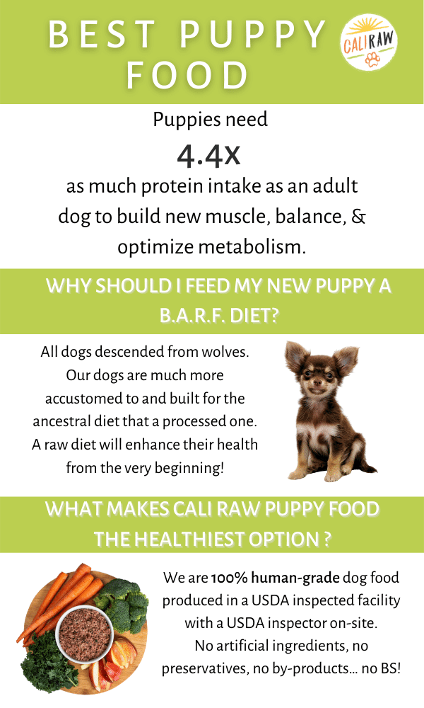 Best Food For Puppies With Raw Puppy Food Feeding Cali Raw Nutrition