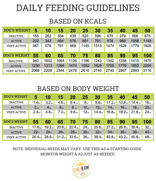Raw Dog Food Feeding Chart Body Score Chart
