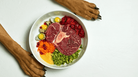 Why We Feed Raw A Species Appropriate Diet For Dogs