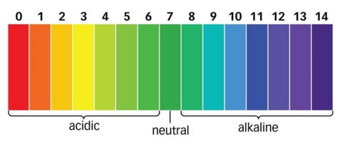 Is Coffee Acidic Or Basic Bean Bean Coffee Roasters