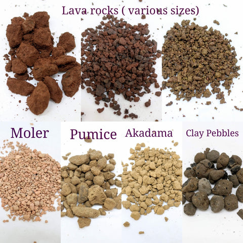 Potting Mix Or Substrates For Succulents Zying