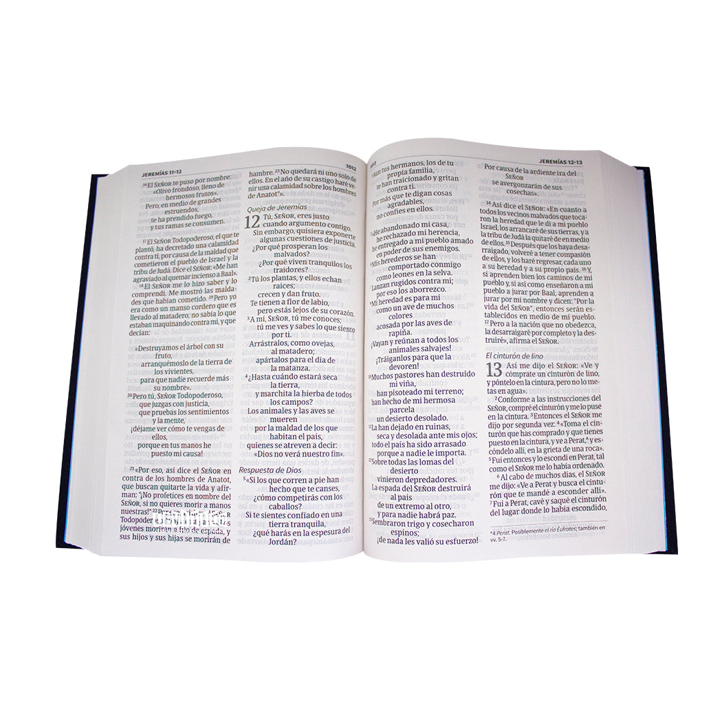 Biblia Nvi Letra Grande Tamano Manual Azul Bordado Sobre Tela Levitico