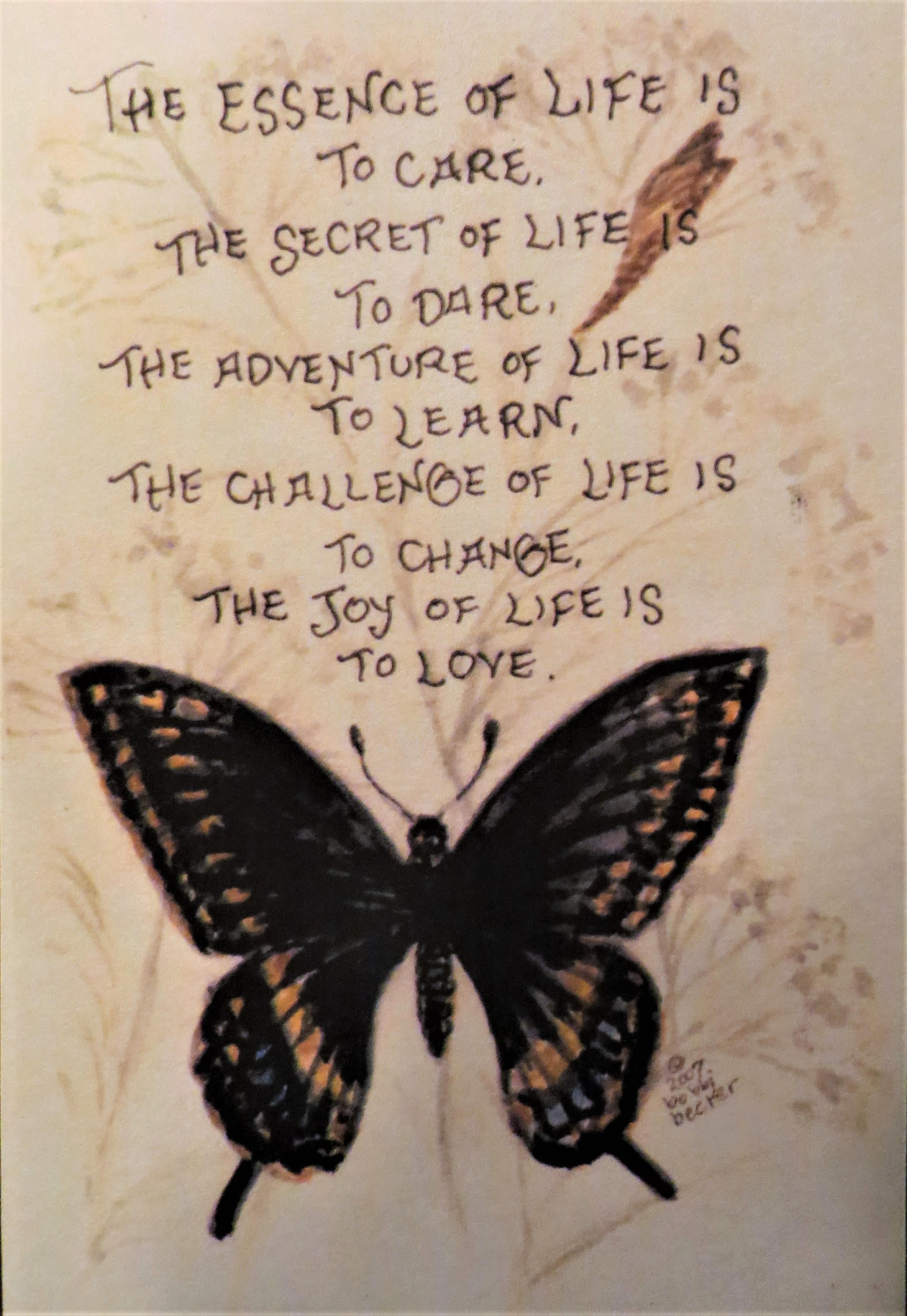 Quotes About Butterflies 6 Quotes About Butterflies 6