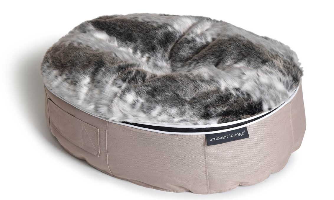 Hund Sang Sandstorm Vild Djur M Ambient Lounge