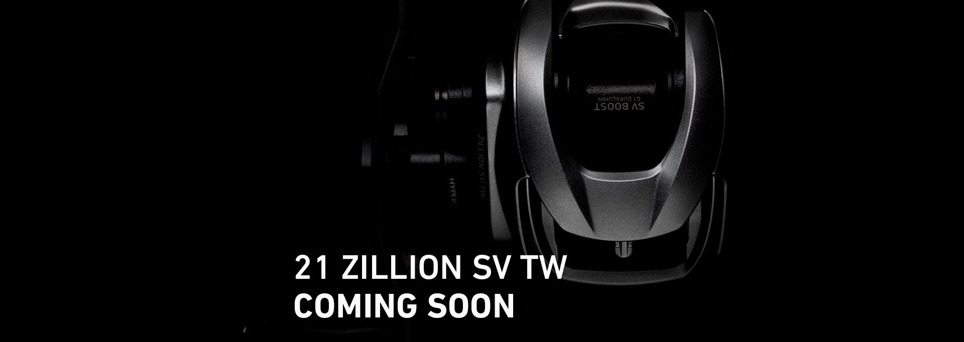 21 Zillion Sv Tw Baitcast Reel Daiwa Australia