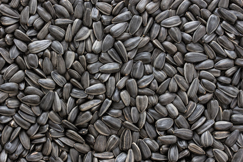 Faqs About Sunflower Seeds Valley Farms Shop