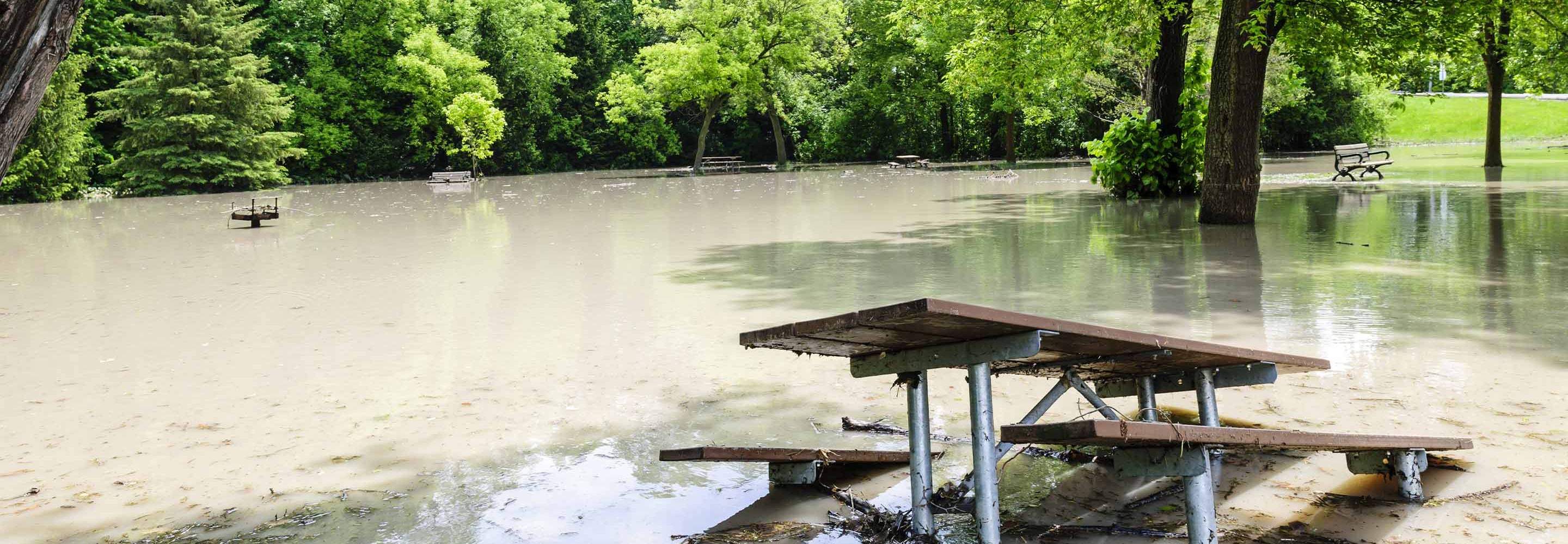 There is a flood watch in Eastern Michigan. Protect yourself from mold and follow health recommendations. Click here.