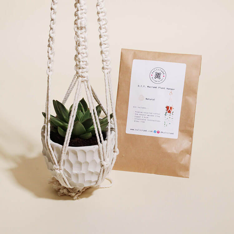 Macrame Plant Pot Hanger Kit Noah S Box