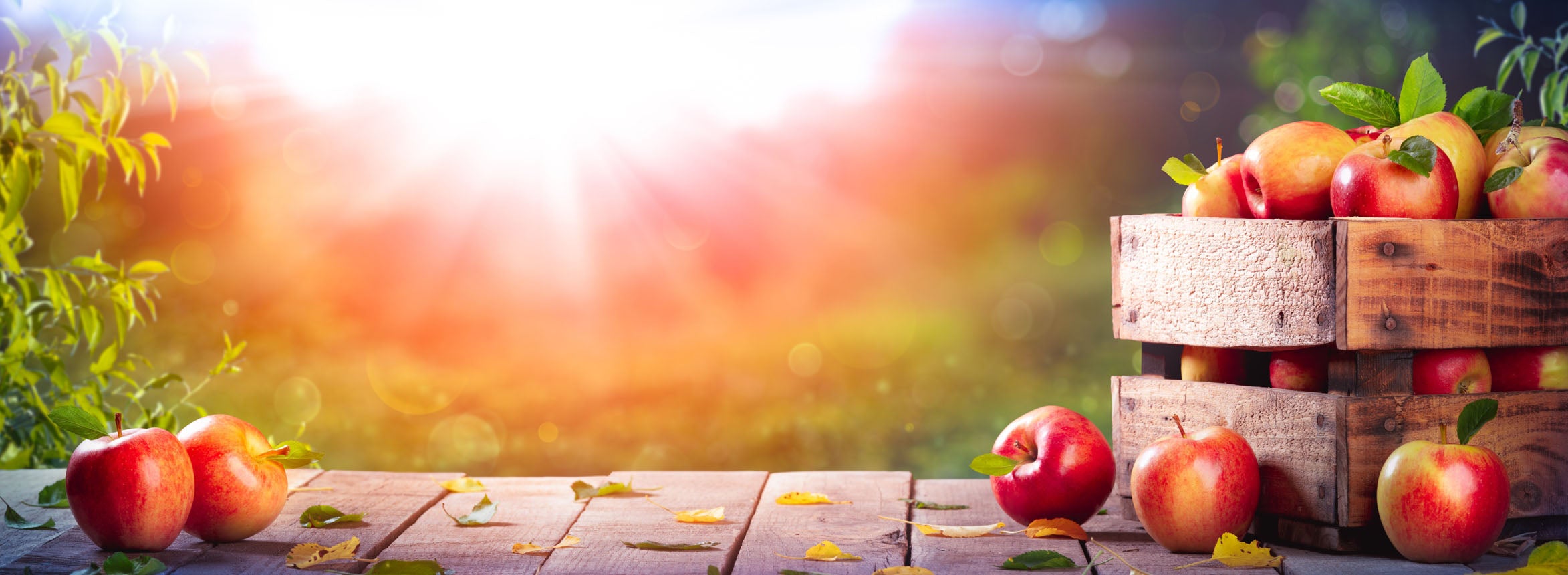 Obst Aufbewahrung So Lagerst Du Dein Obst Richtig
