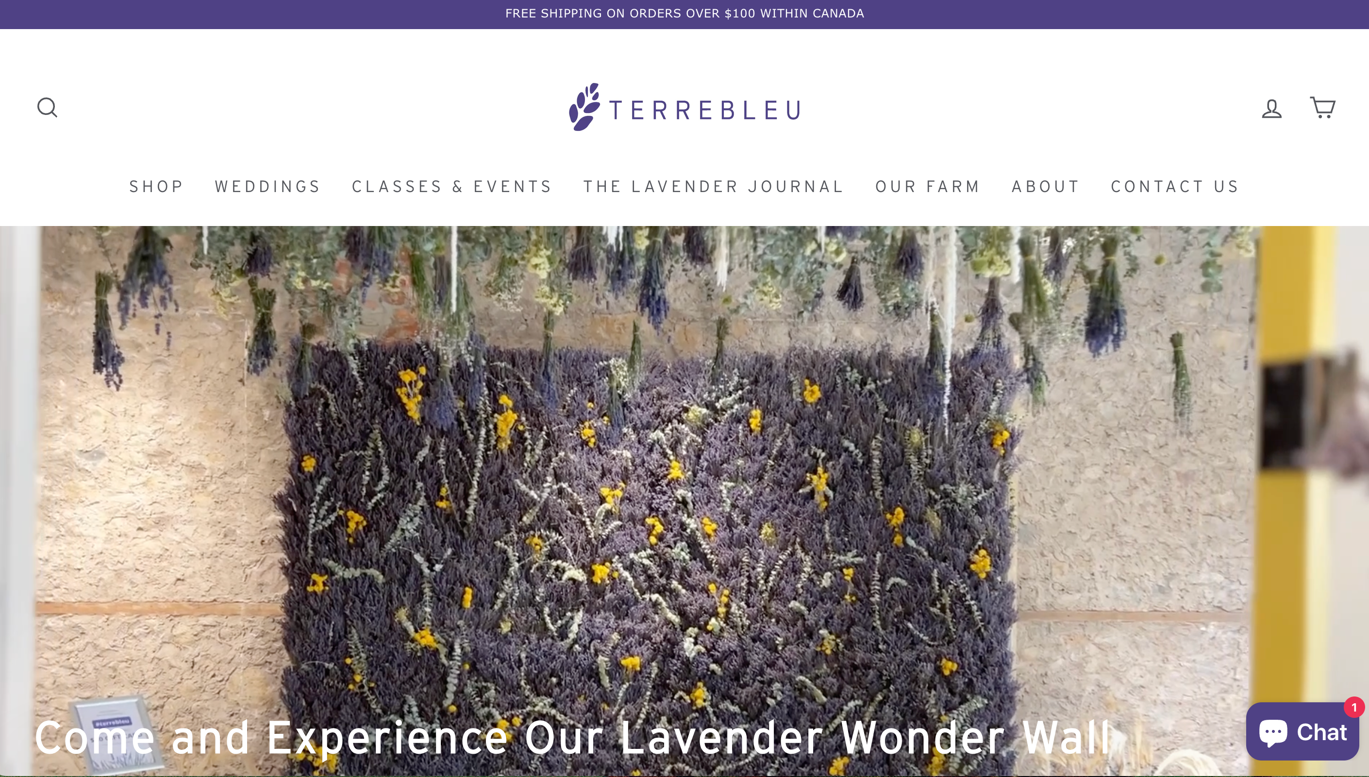 Home page for the ecommerce website of Shopify store Terrebleu