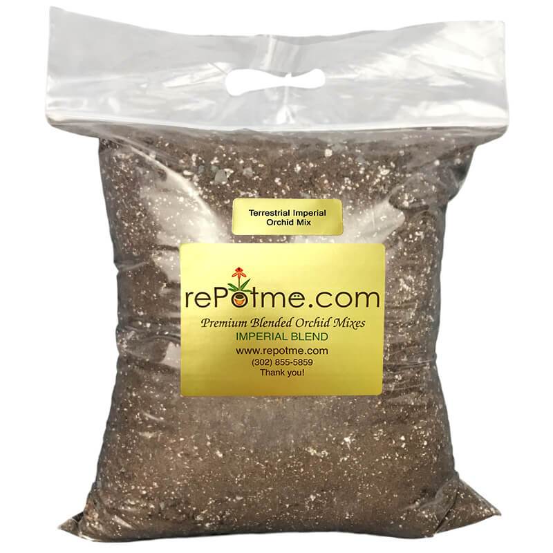 Terrestrial Imperial Orchid Mix Repotme