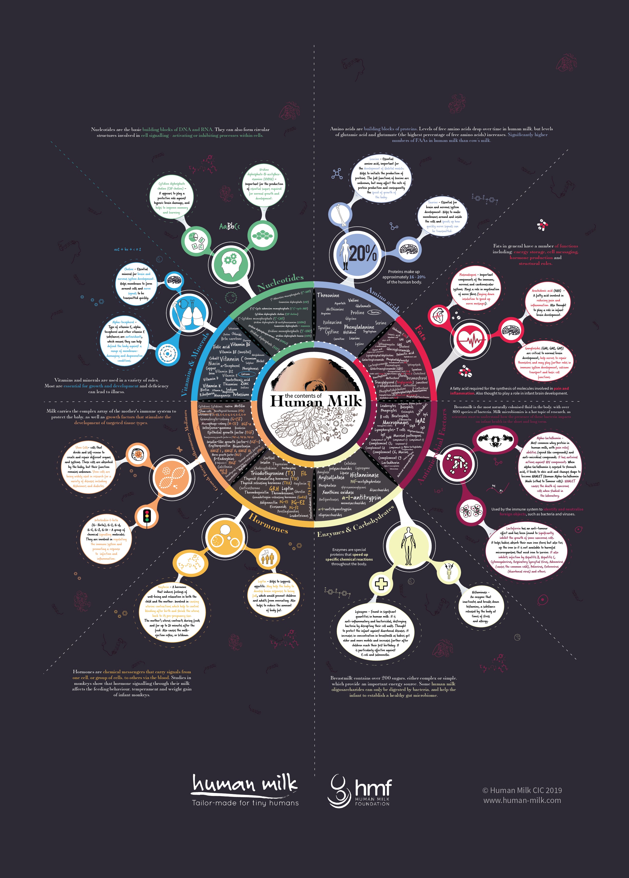 The Contents Of Human Milk Infographic Poster Human Milk Cic