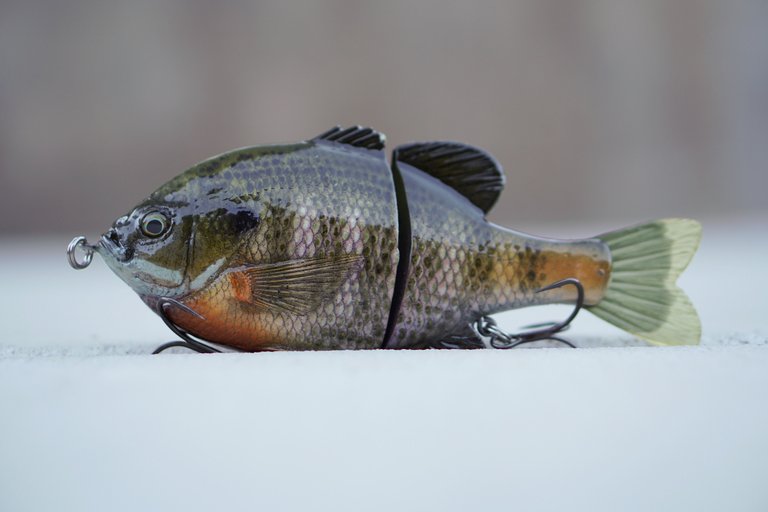 Sly Guy X Swimbait Underground Replica Gill Swimbait Underground