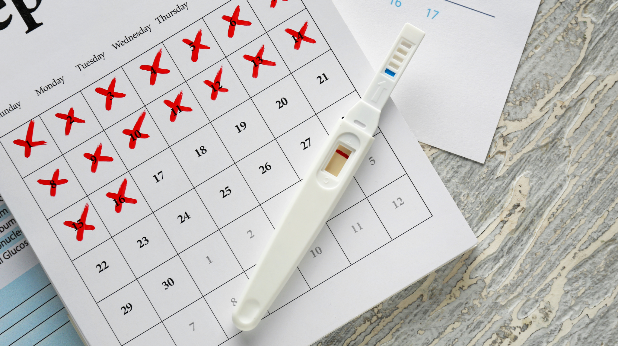 Pregnancy Symptoms After Ovulation Day By Day Neeva Baby