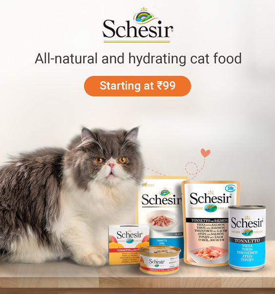Heads Up For Tails Online Pet Store For Pet Supplies Products