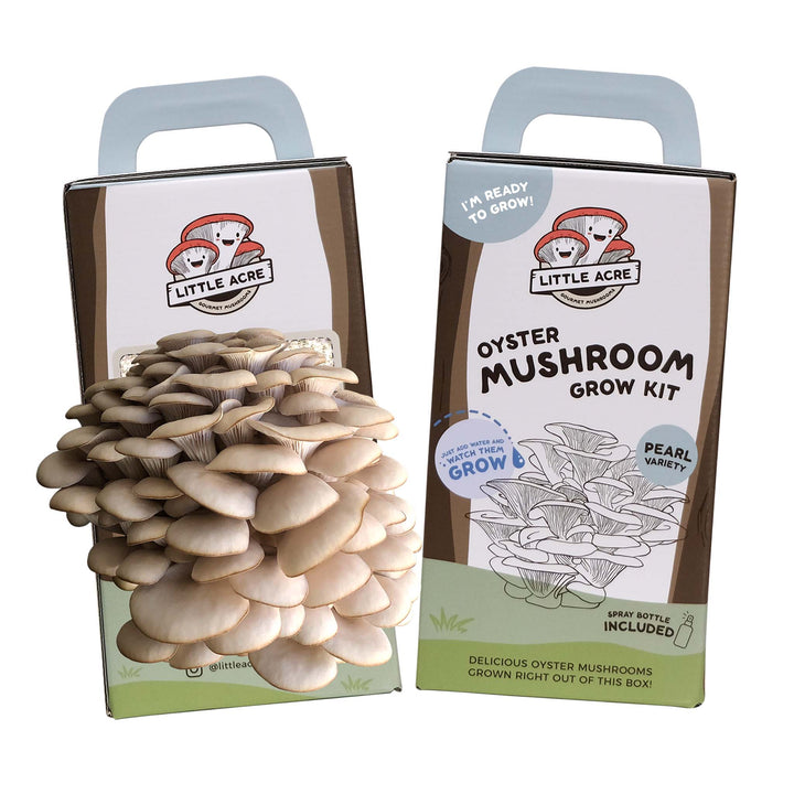 Mushroom Kit Australia Buy Mushroom Growing Kits Little Acre
