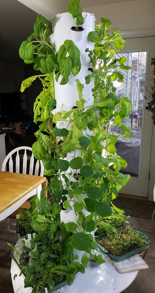 How To Plant A Vertical Tower Garden