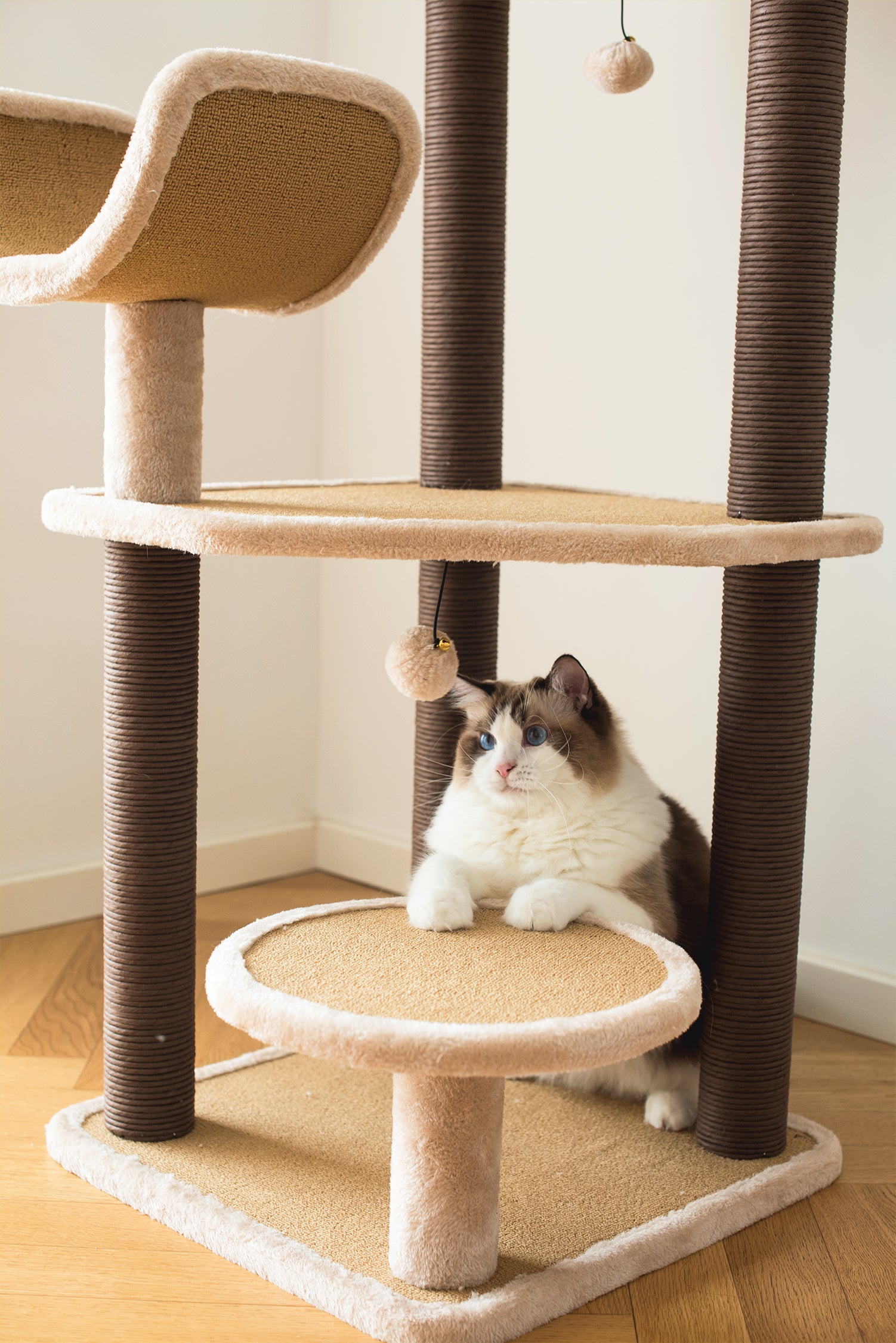 Catry Cozy Cat Tree Condo A Complex Tower For Cats Catry International Group Inc