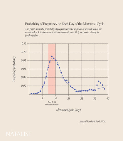 Phases Of The Menstrual Cycle And When You Can Get Pregnant Natalist