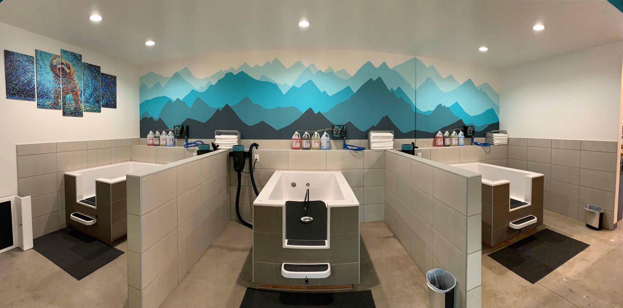 Self Serve Dog Wash Stations Utah S Best Pet Spawt