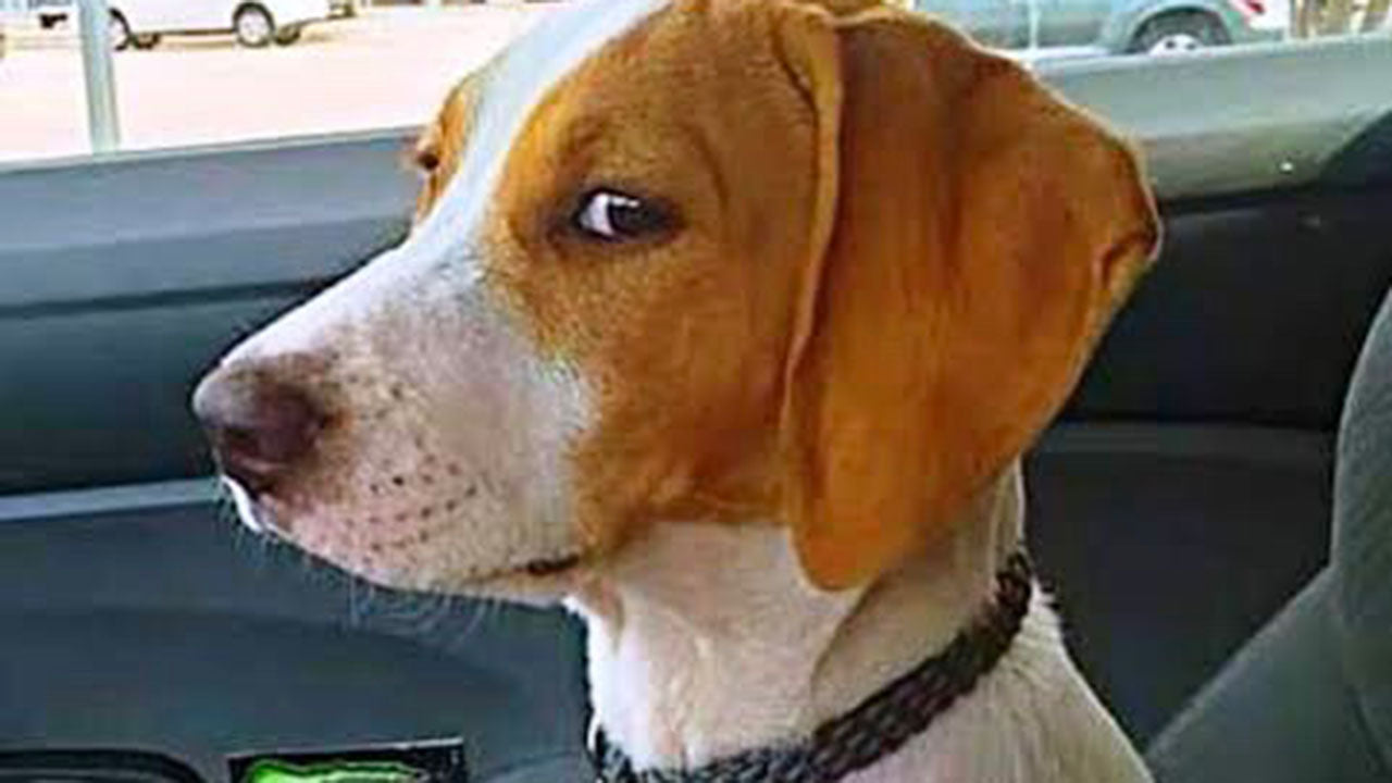 What The Side Eye Really Means Drool By Dr Chris Brown