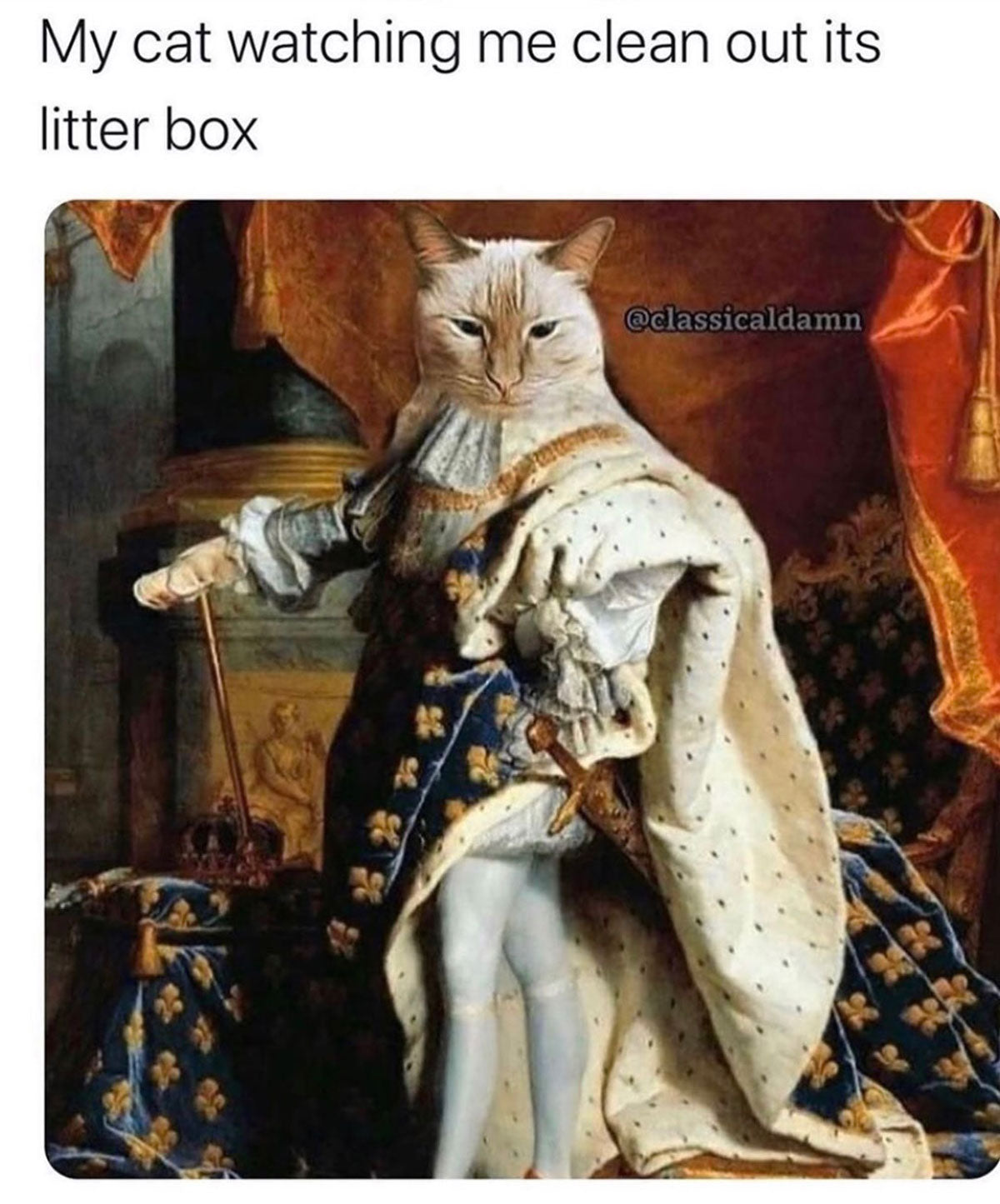 How Often Should You Change Litter Tray Elmparknursery Co Uk