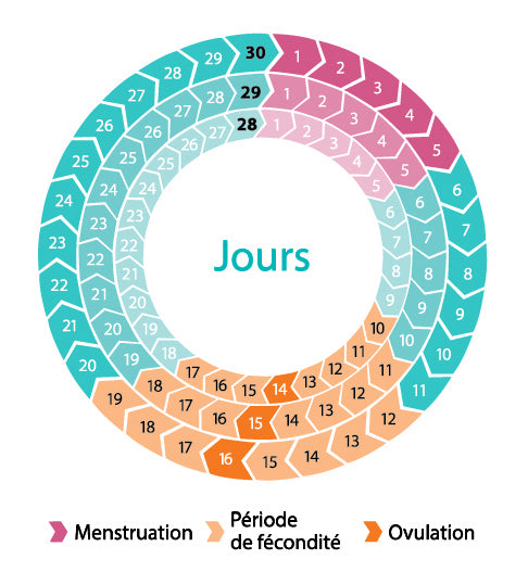 Comment Calculer Ton Cycle Menstruel Blinx Underwear