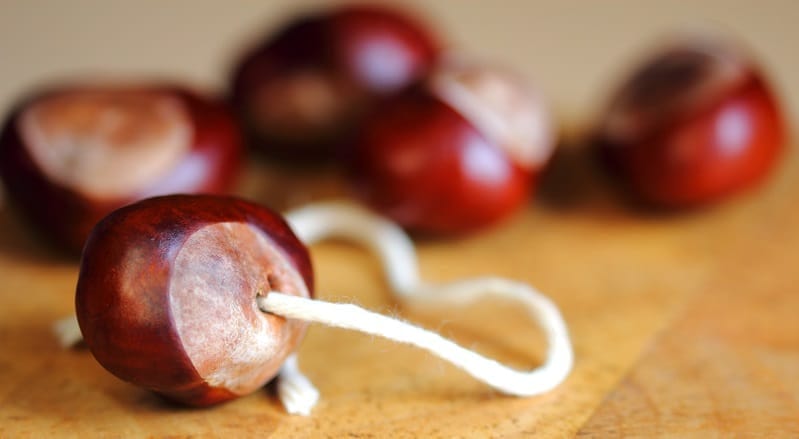 Conkers Are Toxic To Dogs Yumove