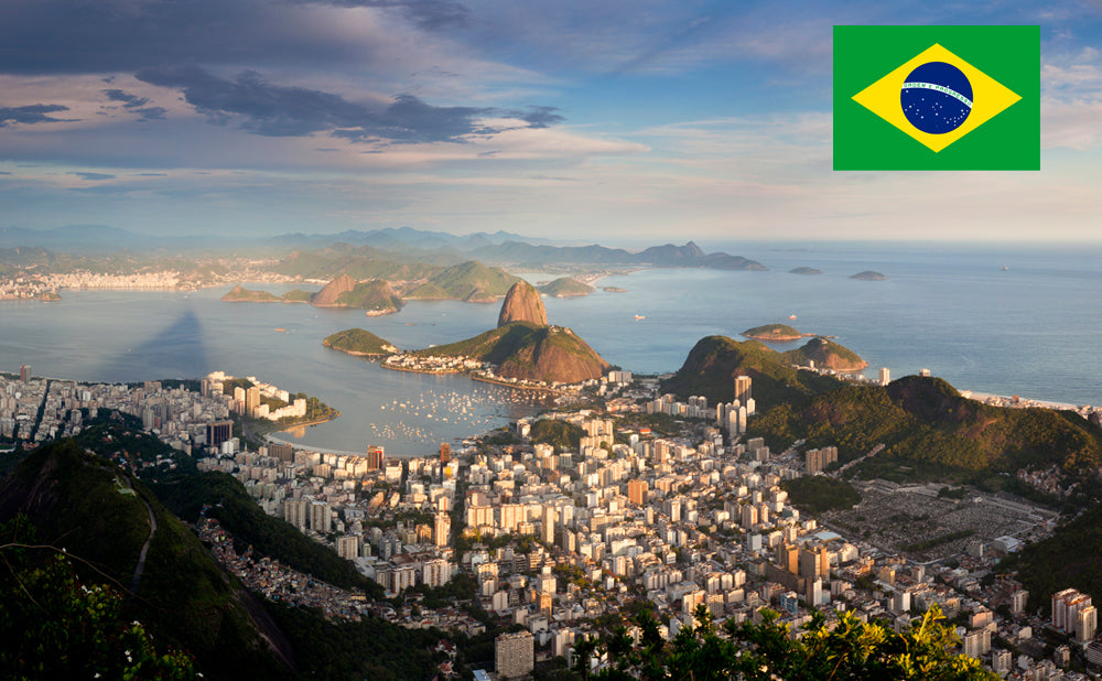 巴西国际驾照 Idl Services Inc