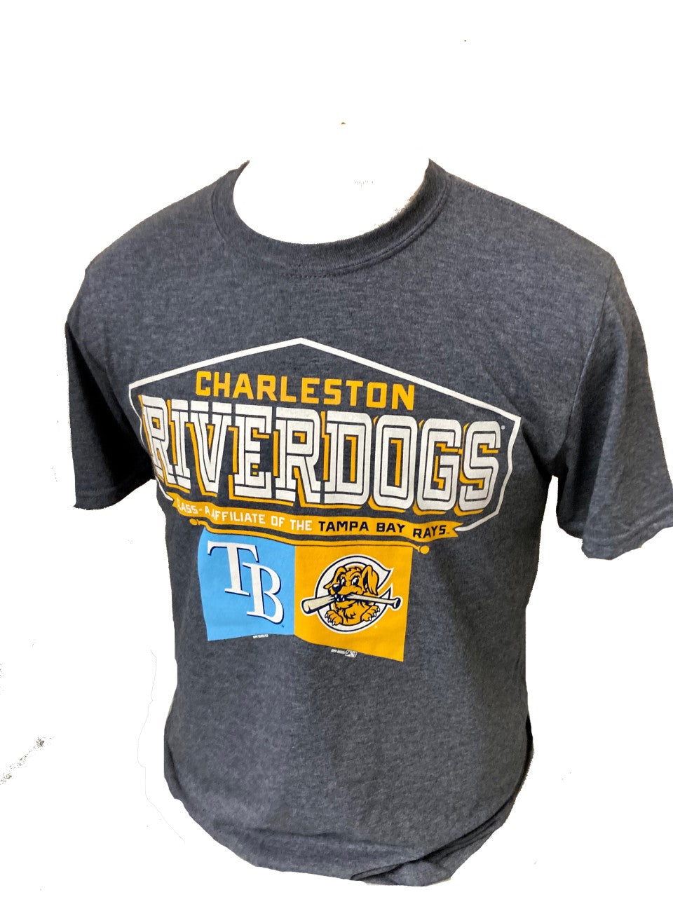 Charleston Riverdogs 2022 Affiliate Tee Charleston Riverdogs Official Store